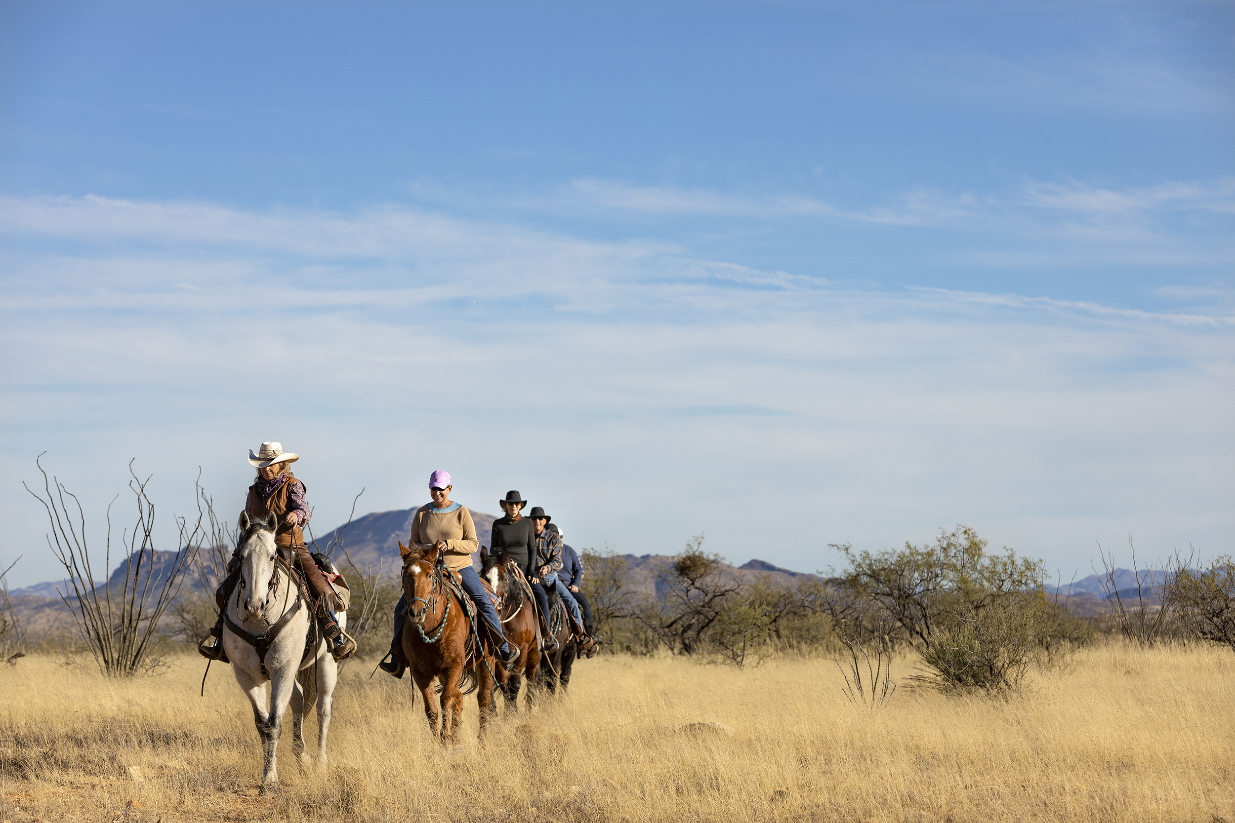 A line of horseback riders during a dude ranch vacation at Rancho de la Osa.